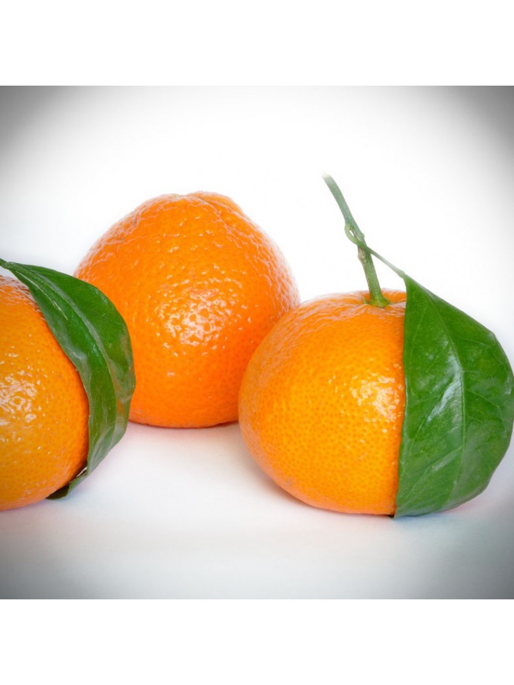 Mandarinų eterinis aliejus (Citrus Reticulata)